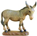 Asino art.79800-41